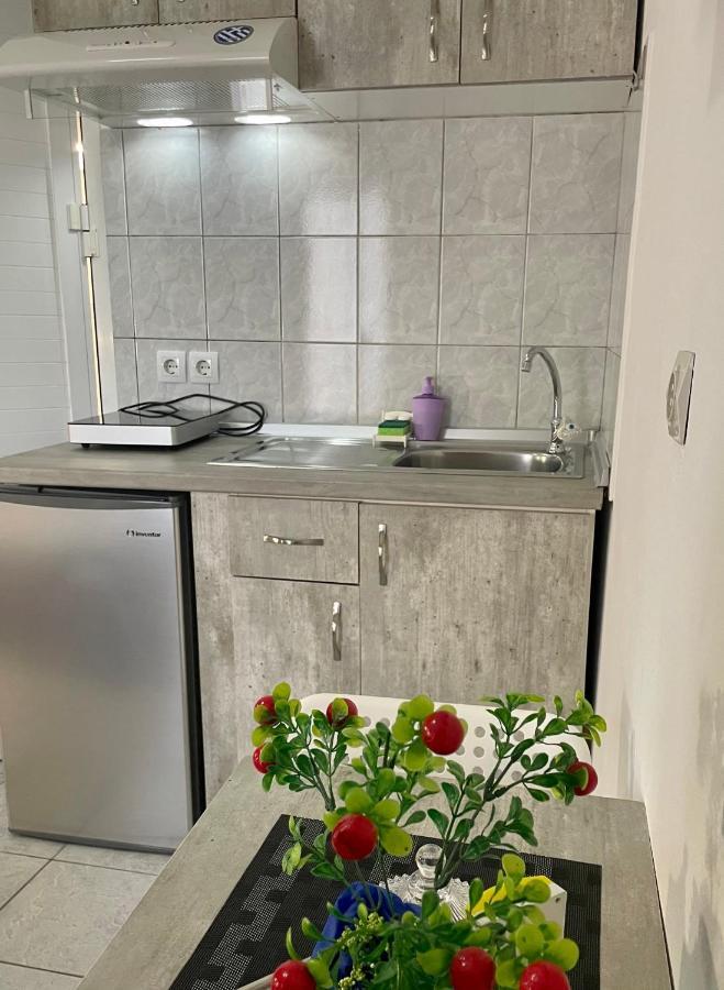 Nisel Seaside Apartment Paralia Katerinis Ngoại thất bức ảnh